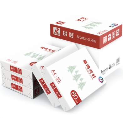 晨鸣共好 复印纸 80g A4（5包/箱）